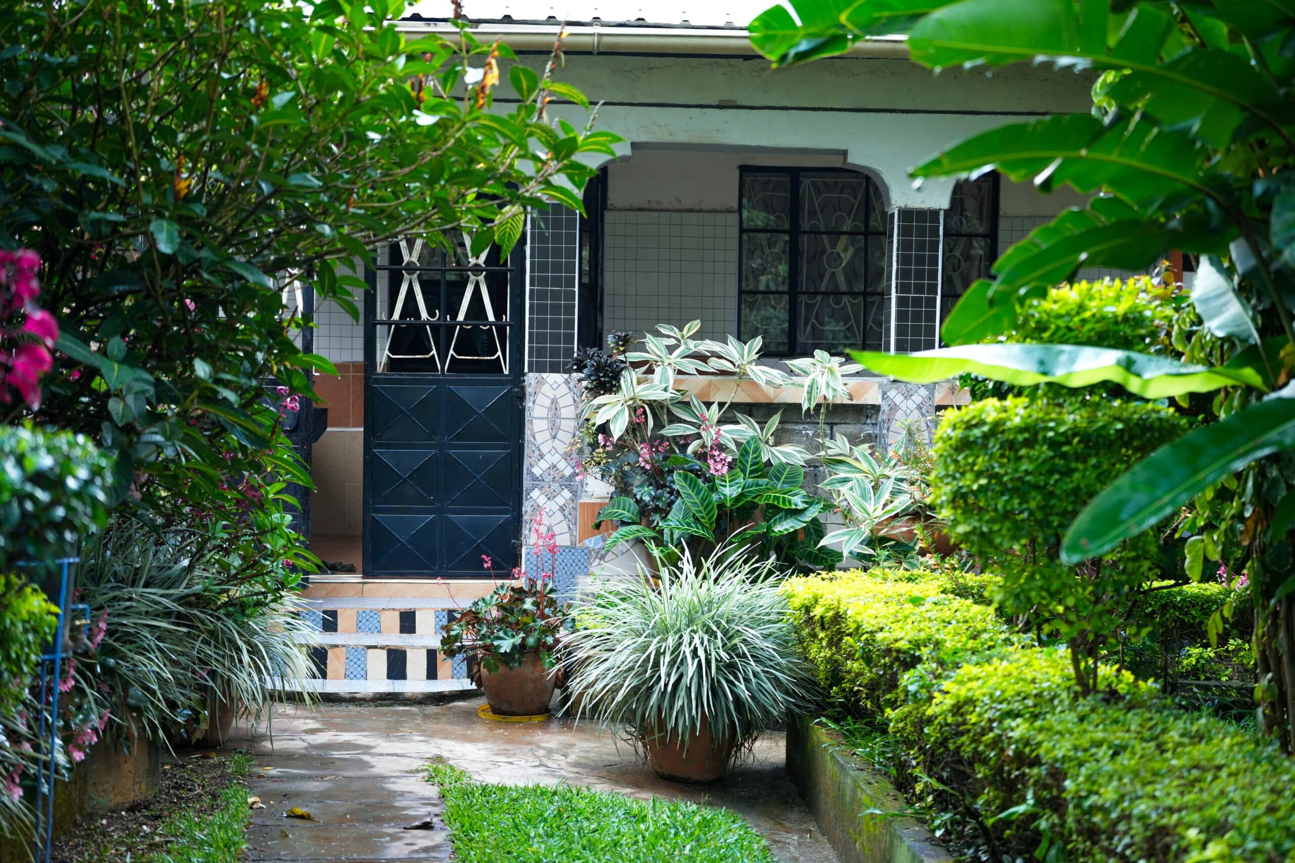 Maximalist Gardening